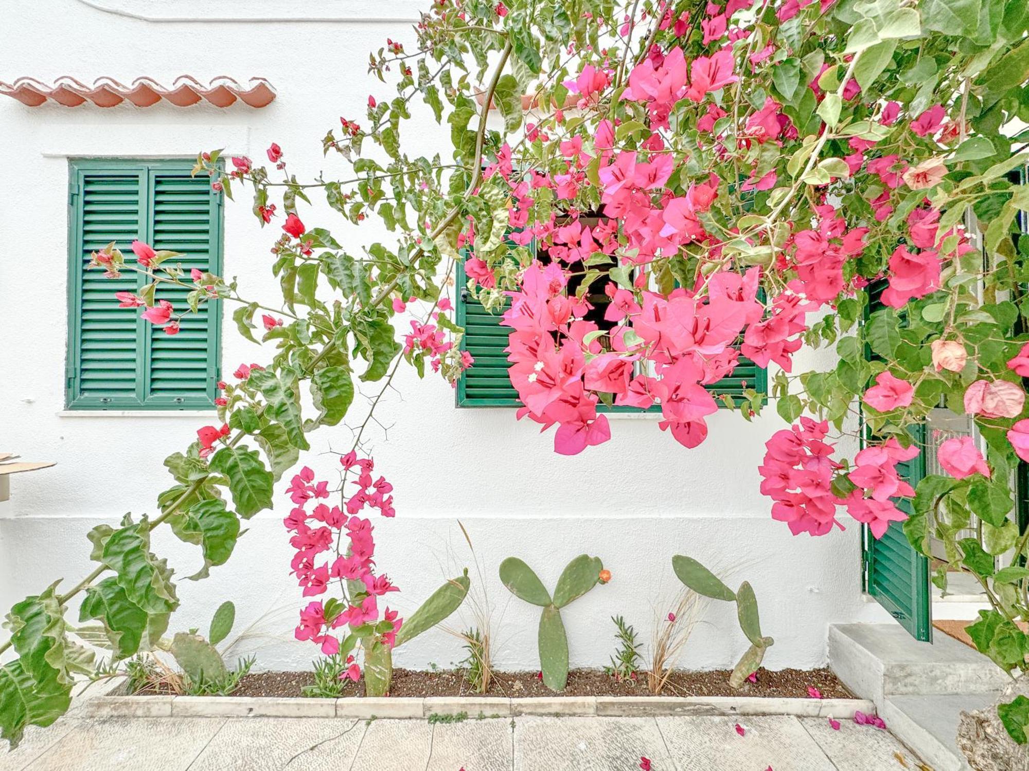 Costa Inn Beach House With Pool By Homeful Homes Costa de Caparica Εξωτερικό φωτογραφία